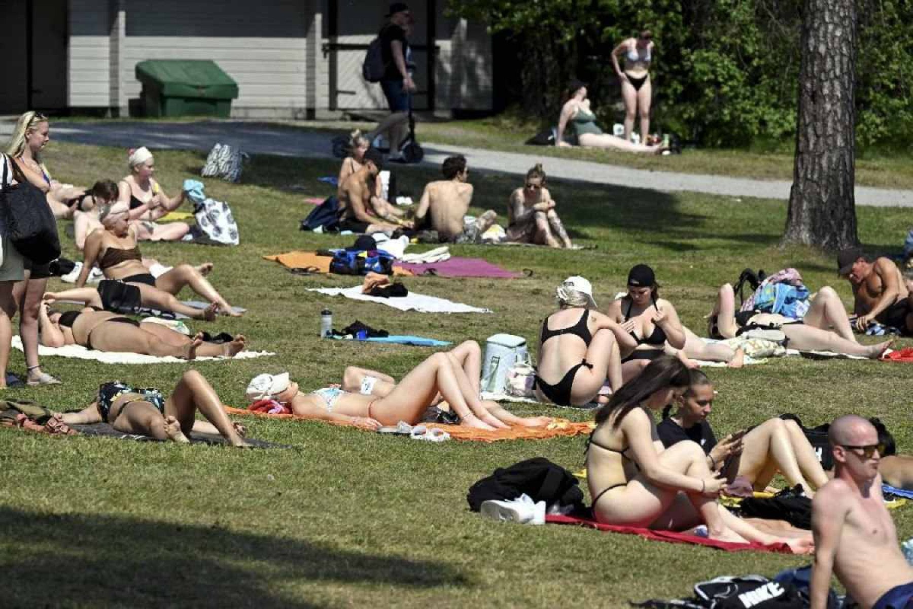 Os meses de junho a agosto oferecem dias longos e noites curtas na Finlândia, com temperaturas agradáveis e a natureza em pleno esplendor