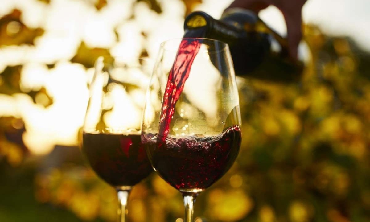  Os vinhos orgânicos estão ficando cada vez mais populares entre os consumidores -  (crédito:  Shutterstock)