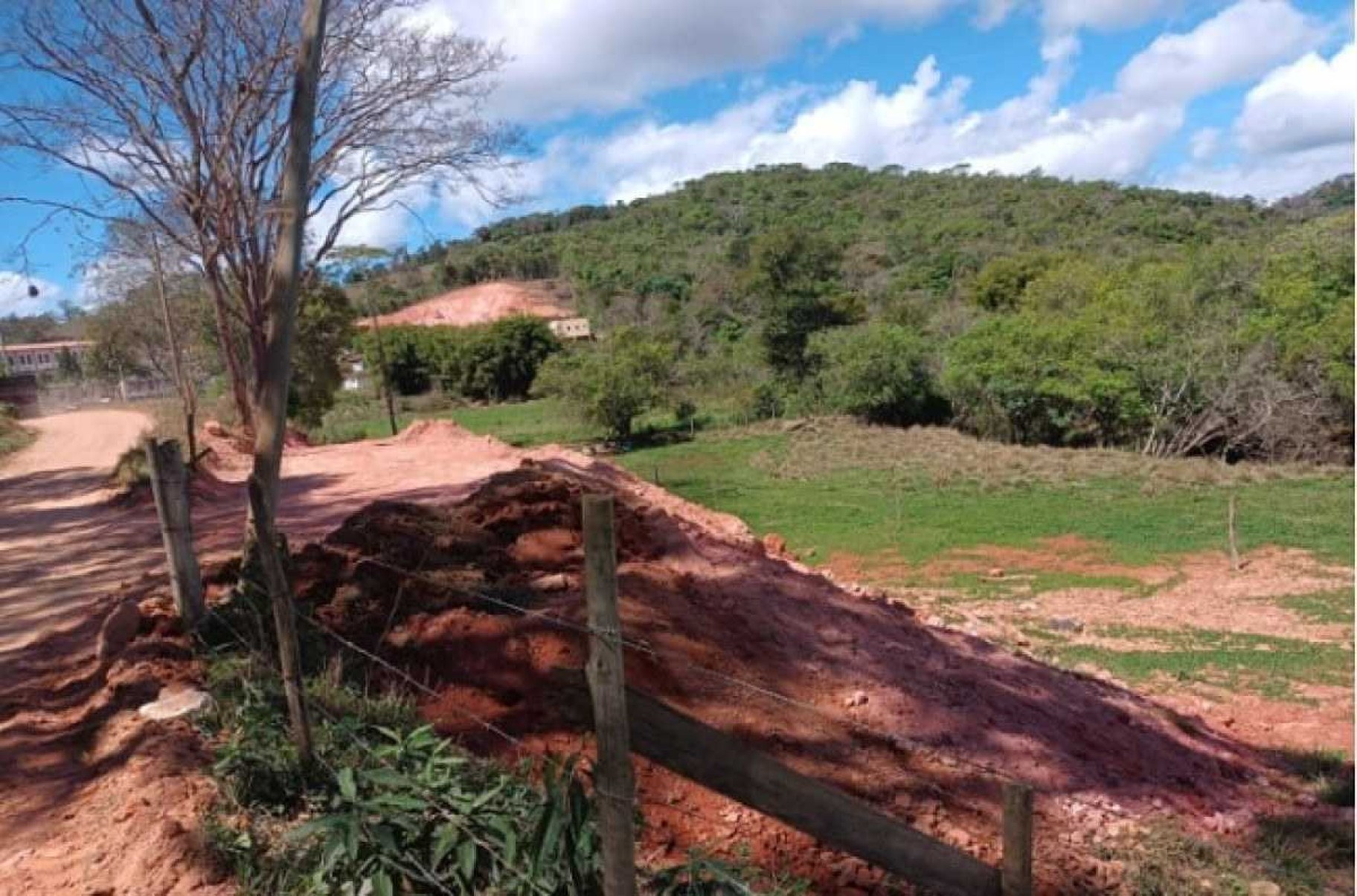 Justiça suspende obra na Grande BH que suprimiu vegetação da Mata Atlântica