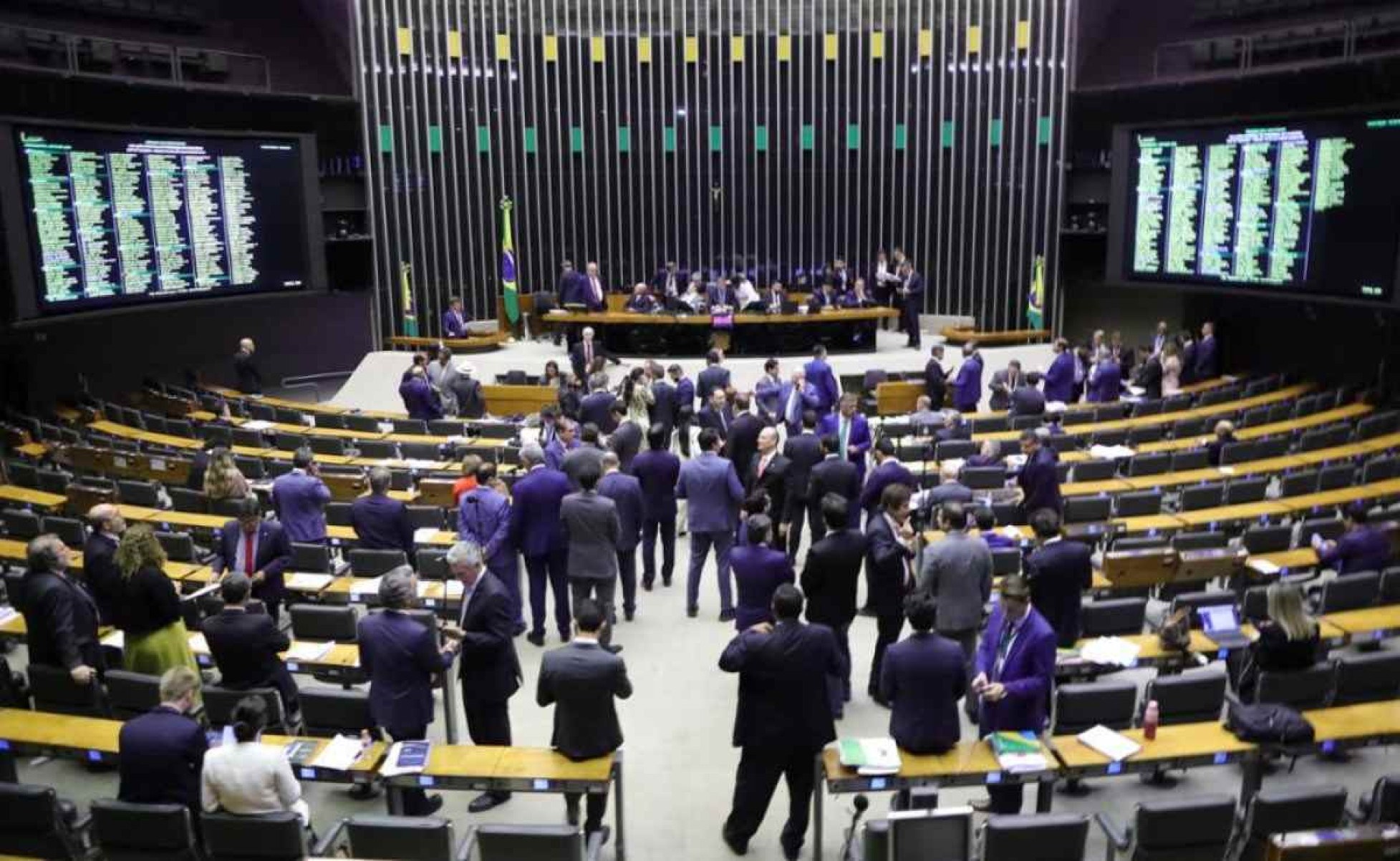 Câmara aprova regulamentação da reforma tributária e zera imposto da carne - Mário Agra/Câmara dos Deputados