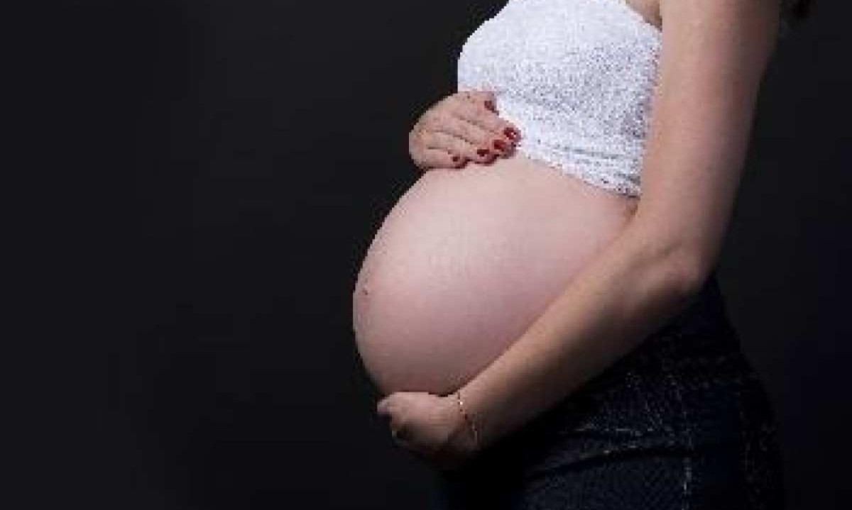 Gestante com a mão na barriga -  (crédito: Pixabay)