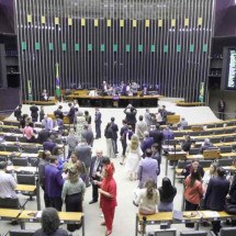 Câmara aprova PEC da Anistia aos partidos e reduz recursos para negros - Mario Agra / Câmara dos Deputados