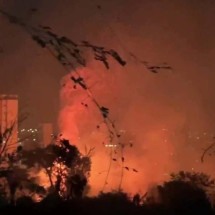 Bombeiro diz que incêndio em parque de BH causou grande prejuízo ambiental - Corpo de Bombeiros