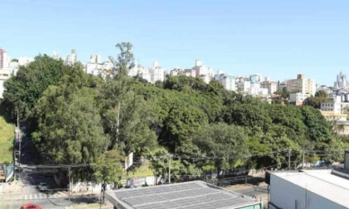 Mata do Jardim América se tornará Parque Municipal -  (crédito: Edesio Ferreira/EM/D.A Press)