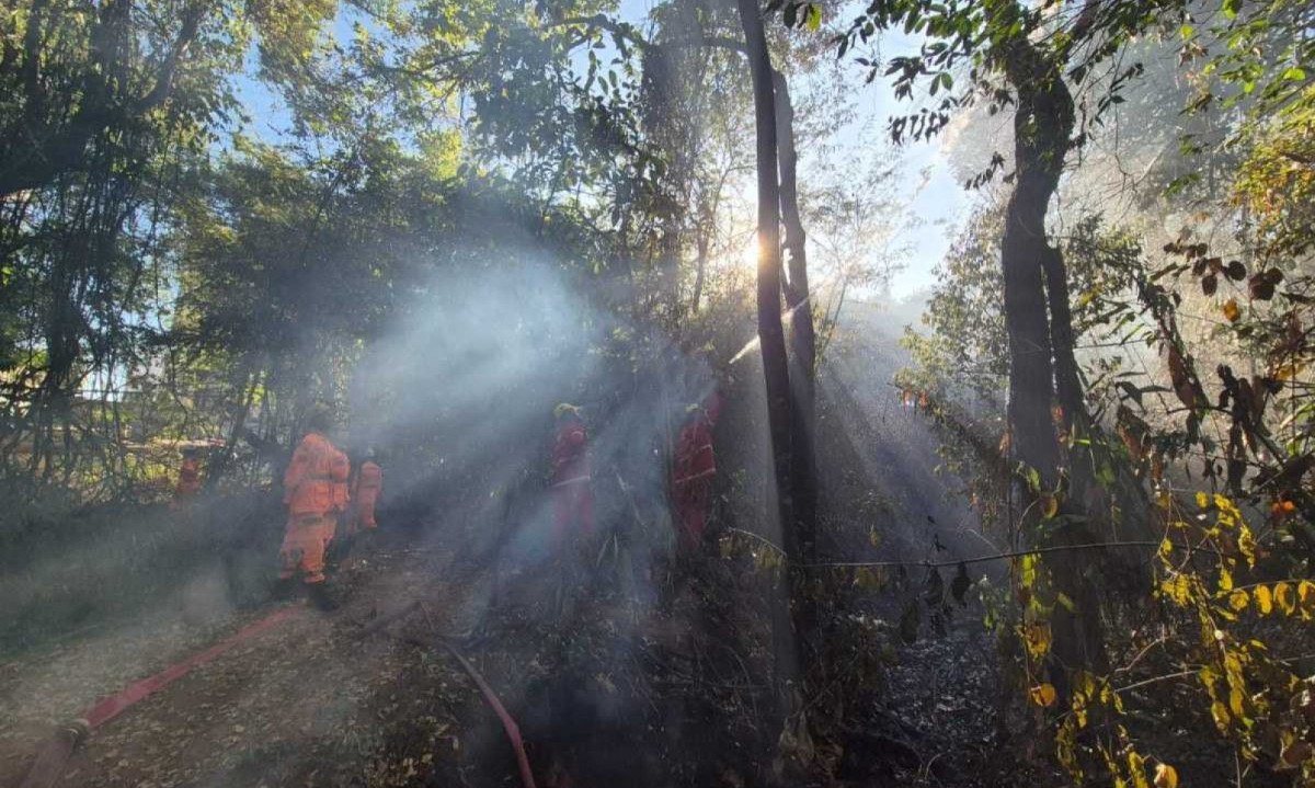 A causa do incêndio ainda não foi esclarecida -  (crédito: Jair Amaral / EM. / DA.Press)