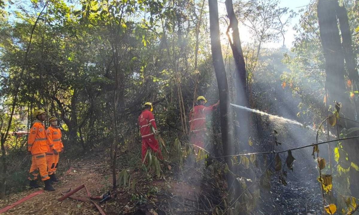 Equipes do Corpo de Bombeiros seguem no Parque Ursulina de Mello na manhã desta sexta-feira (12) -  (crédito: Jair Amaral/E.M./D.A. Press)