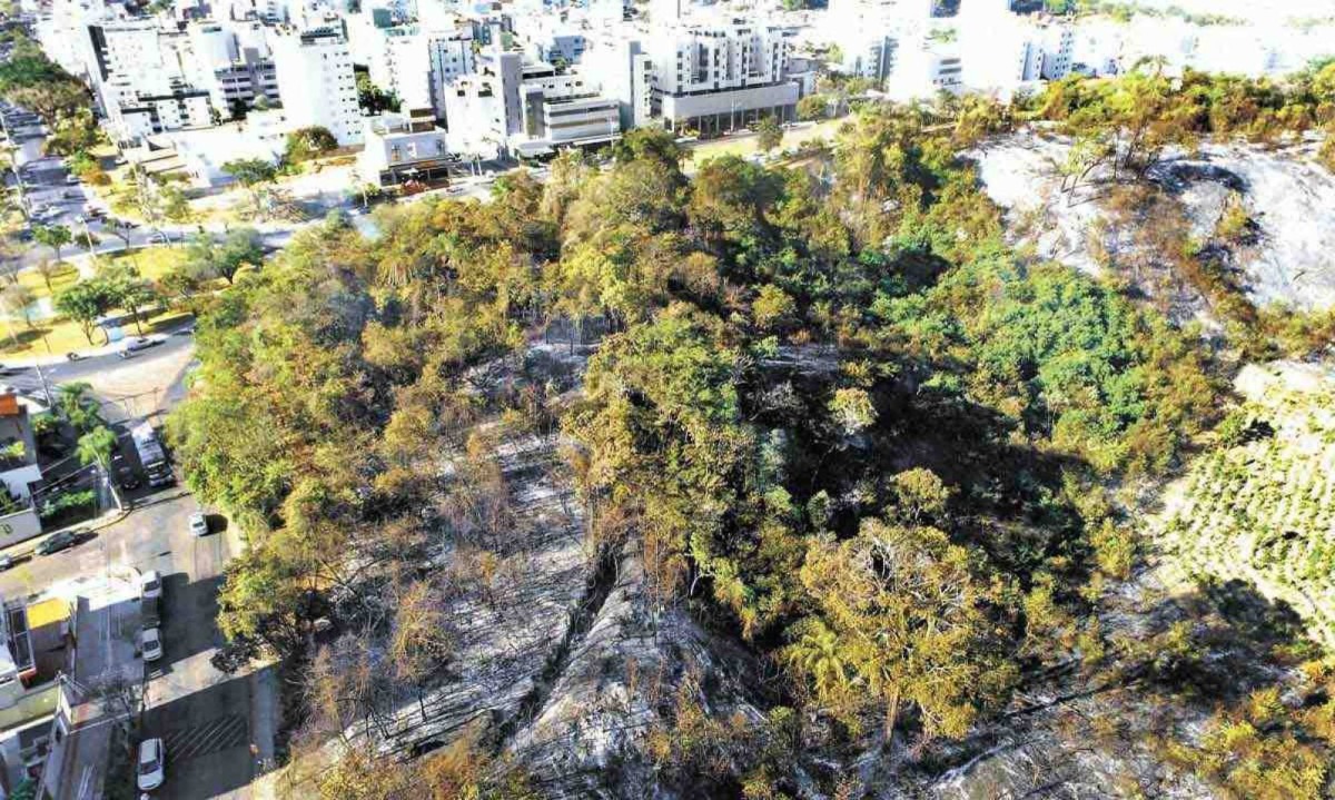 Pelo menos 6 hectares de vegetação foram queimados no Parque Ursulina de Andrade Mello, no bairro castelo, palco frequente de incêndios  -  (crédito:  Ramon Lisboa/EM/D.A Press)