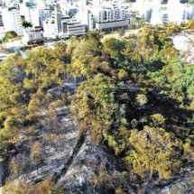 Bombeiros registram alta de 82% nos incêndios em Minas -  Ramon Lisboa/EM/D.A Press