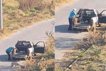 Dupla que abandonou cachorro em estrada de MG é identificada