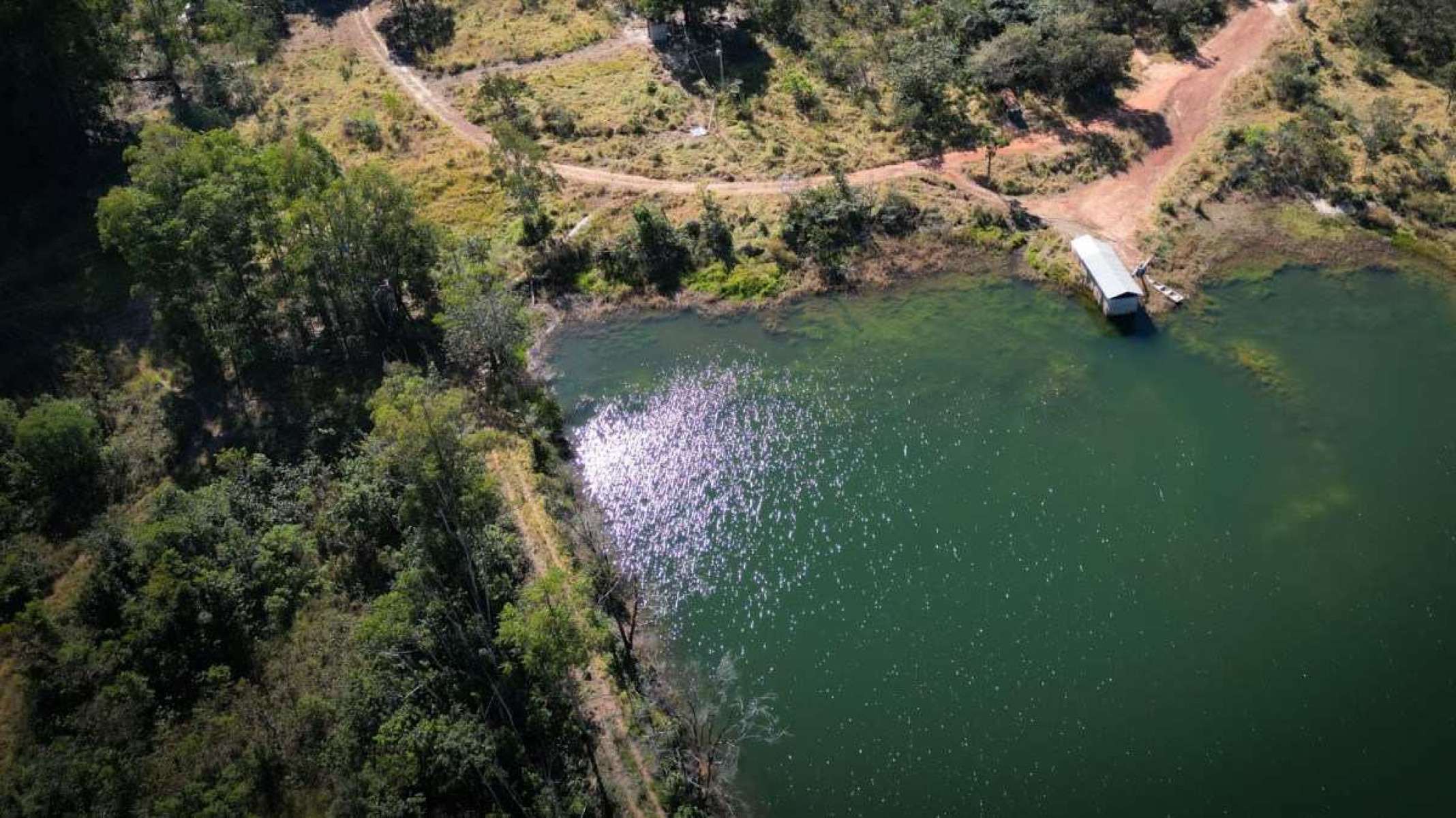 Barragem que represa a água nas cabeceiras da Vereda do São José, citada em "Grande sertão" e reconhecida como patrimônio natural, cultural e histórico de Três Marias