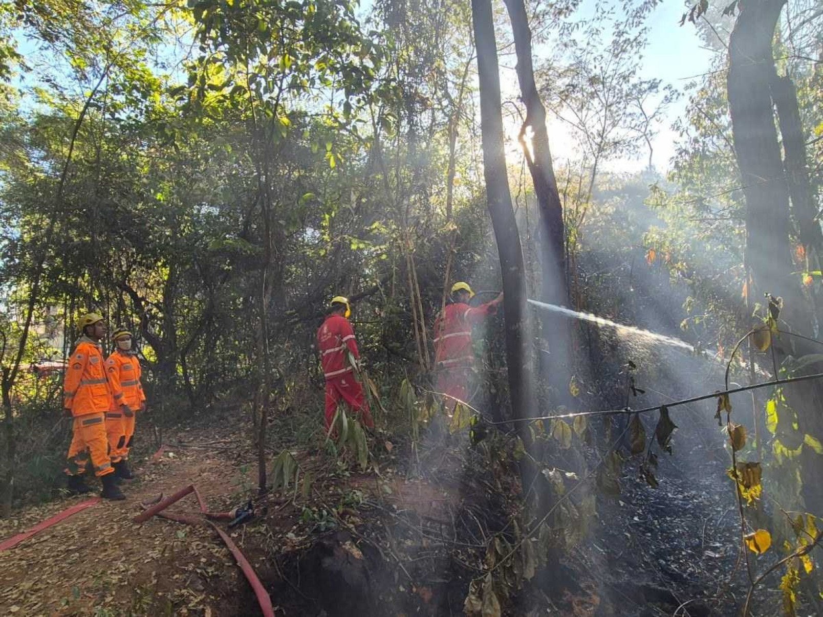 Equipes do Corpo de Bombeiros seguem no Parque Ursulina de Mello na manhã desta sexta-feira (12)