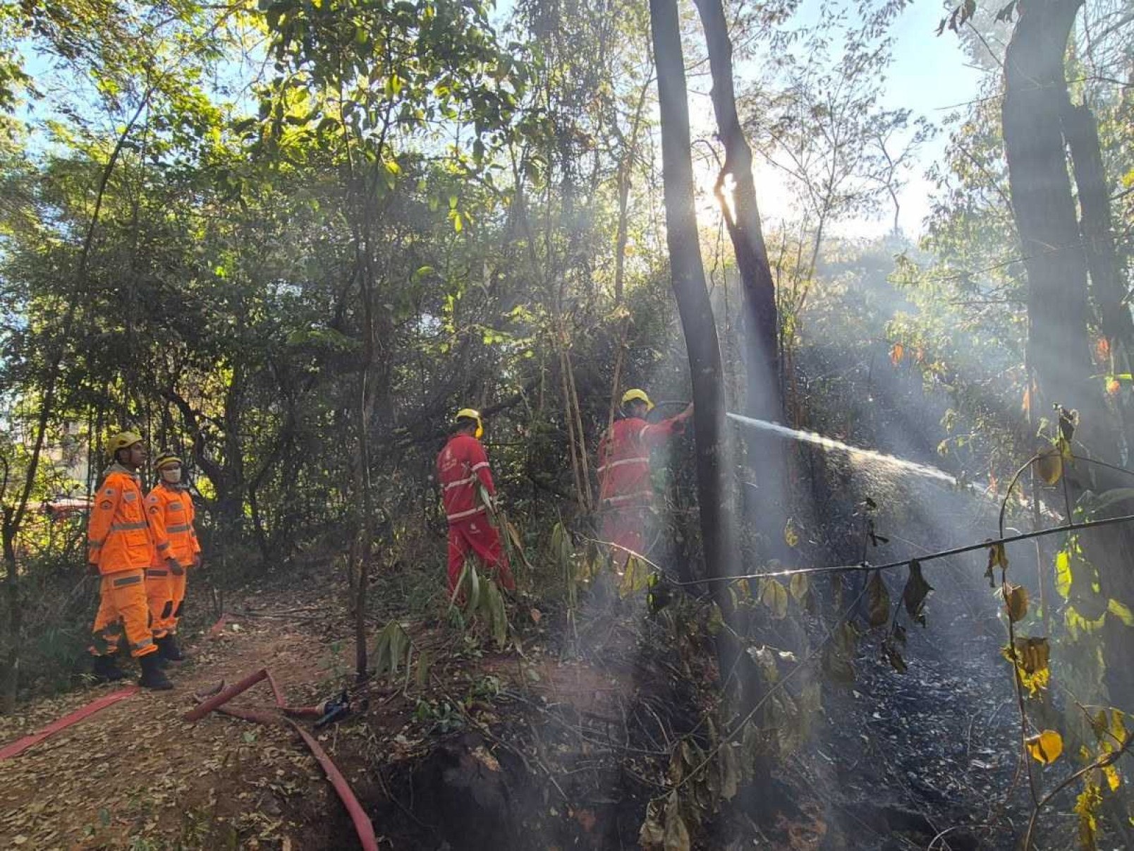 Incêndio no Castelo: 20% de parque de BH foi atingido