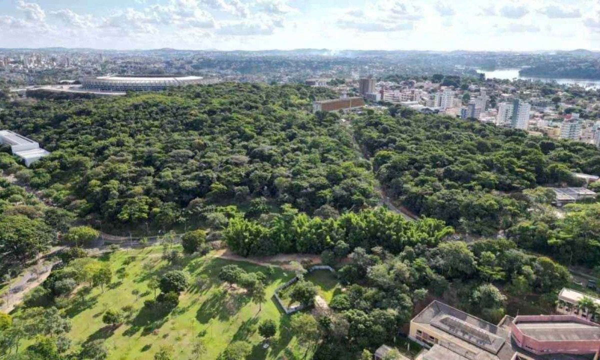 Segundo o documento, o objetivo da ação é a "proteção do patrimônio científico e natural existente na Universidade Federal de Minas Gerais - UFMG, atualmente ameaçado pela realização da corrida automobilística Stock Car Pro Series".

 -  (crédito: @estev4m)