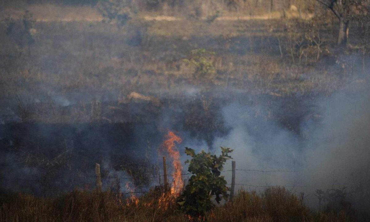 Incêndio na zona rural de Pirapora, no cerrado mineiro -  (crédito: Alexandre Guzanshe/EM/D.A Press)