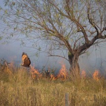 No sertão de Minas, há lugares em que é o fogo que apaga a água - Alexandre Guzanshe/EM/D.A Press