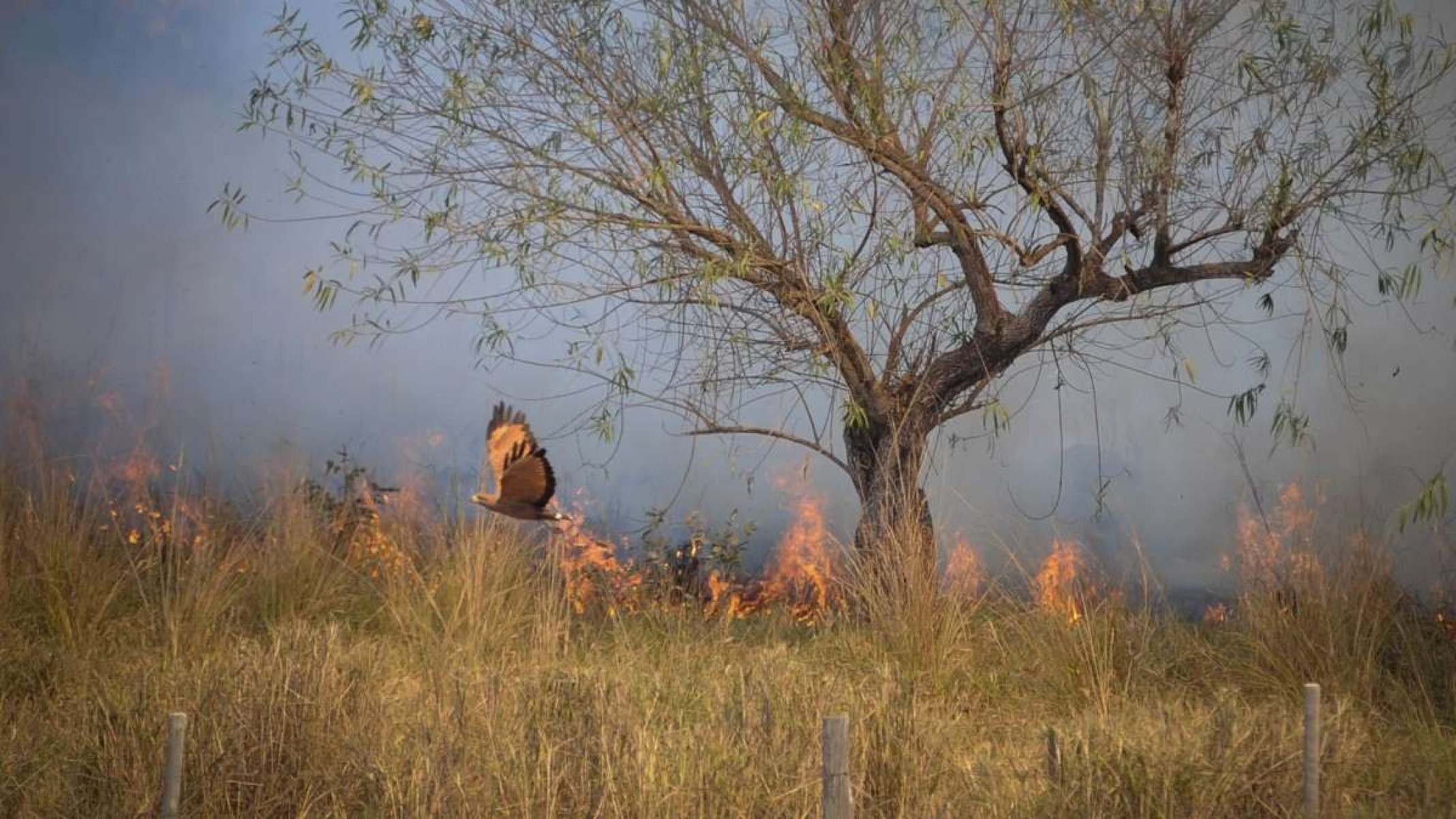 No sertão de Minas, há lugares em que é o fogo que apaga a água