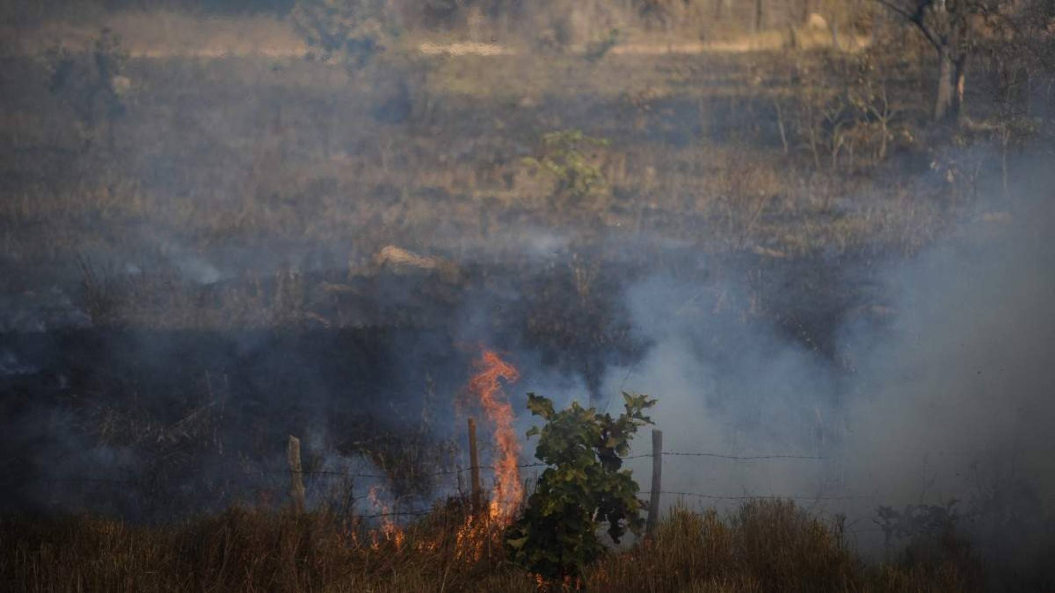 Incêndio na zona rural de Pirapora, no cerrado mineiro