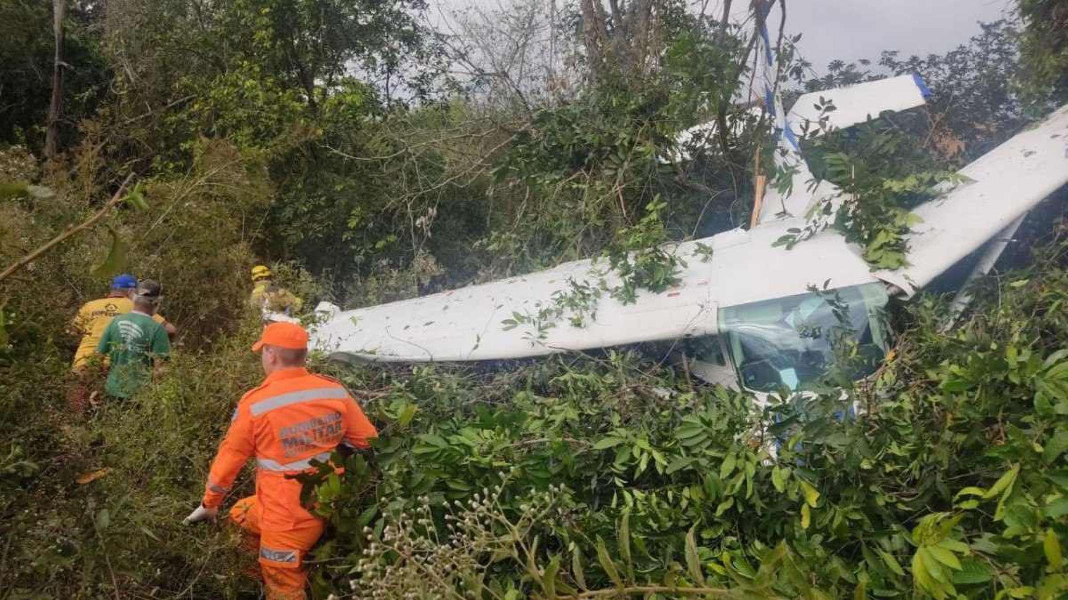 Avião de pequeno porte cai e bate em árvore em cidade mineira