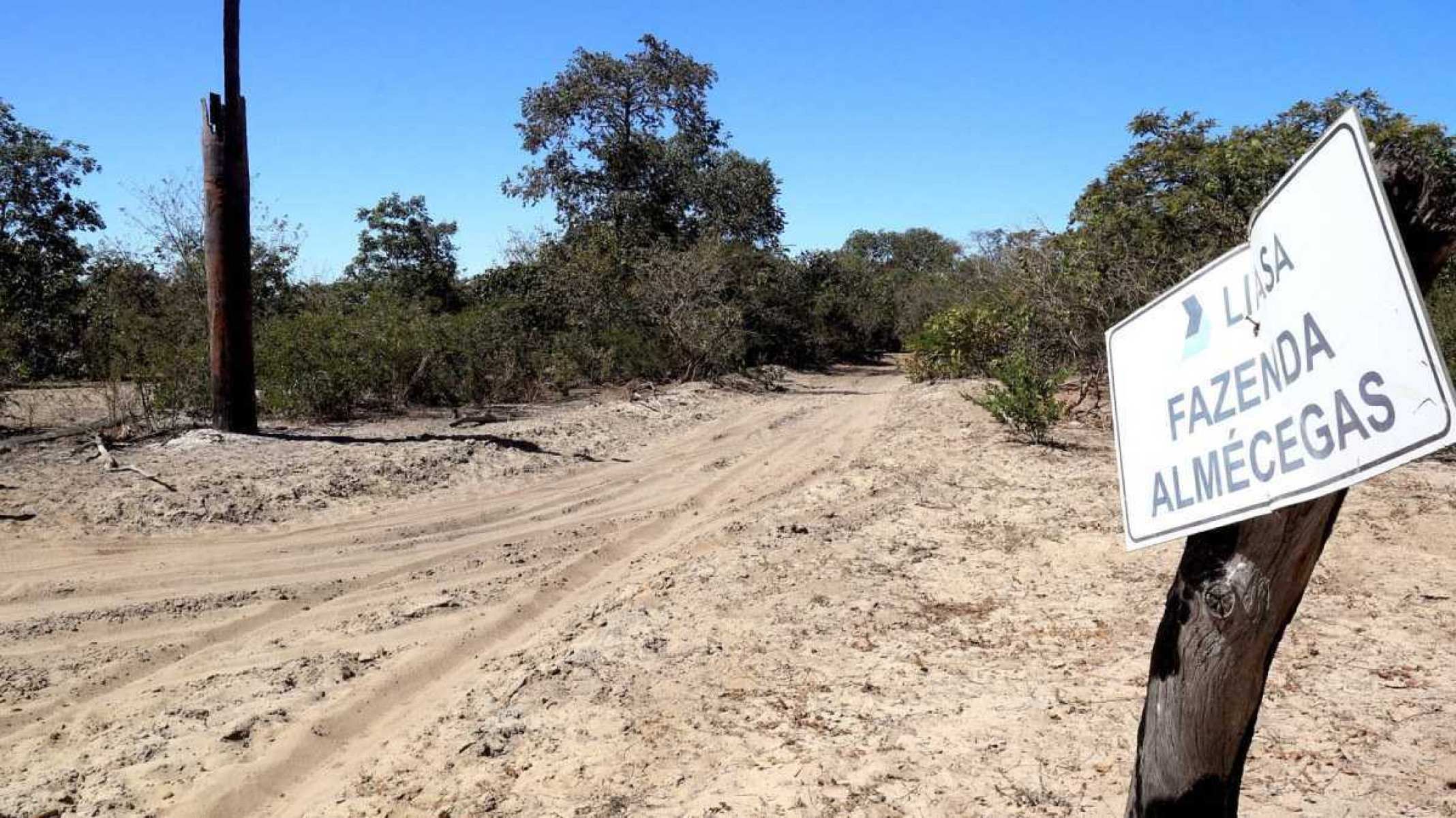 Na Vereda da Tabua, na bacia do Rio Pandeiros, restou apenas areia e buriti seco 