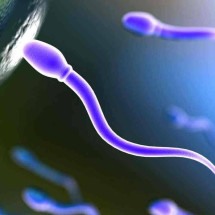 Infertilidade pode ser problema masculino - Reprodução