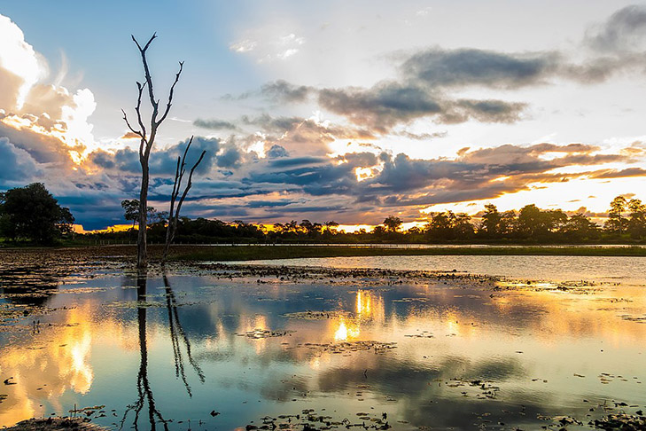  Em outro projeto, também no Centro-Oeste, uma parte do Mato Grosso e outra do Mato Grosso do Sul seriam desmembradas para a formação do estado do Pantanal.