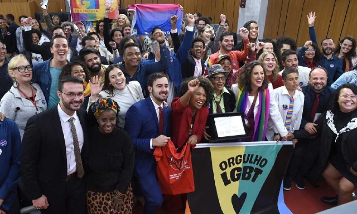 A audiência ouviu representantes de diversos movimentos e entidades LGBTQIA+ e aliadas do estado -  (crédito: Guilherme Bergamini/ALMG)