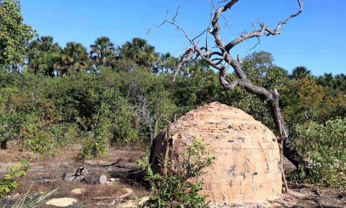 Forno de carvão ao lado da Vereda Almescla, em Bonito de Minas -  (crédito: Solon Queiroz/Esp EM)