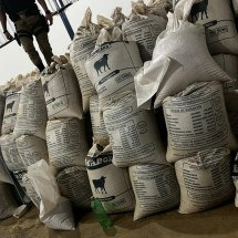 PM prende quadrilha que roubou 1,5 mil sacas de café no interior de MG - Rede de Noticias