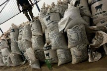 PM prende quadrilha que roubou 1,5 mil sacas de café no interior de MG