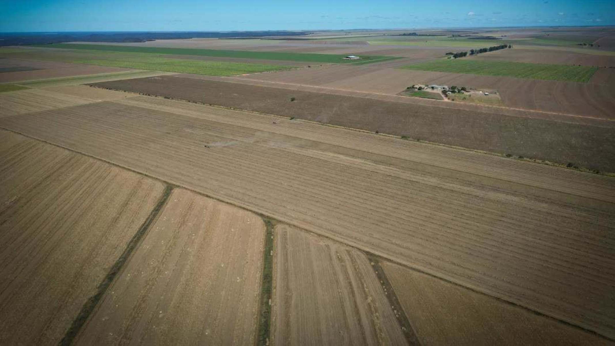 Grandes plantações no cerrado mineiro, em Chapada Gaúcha