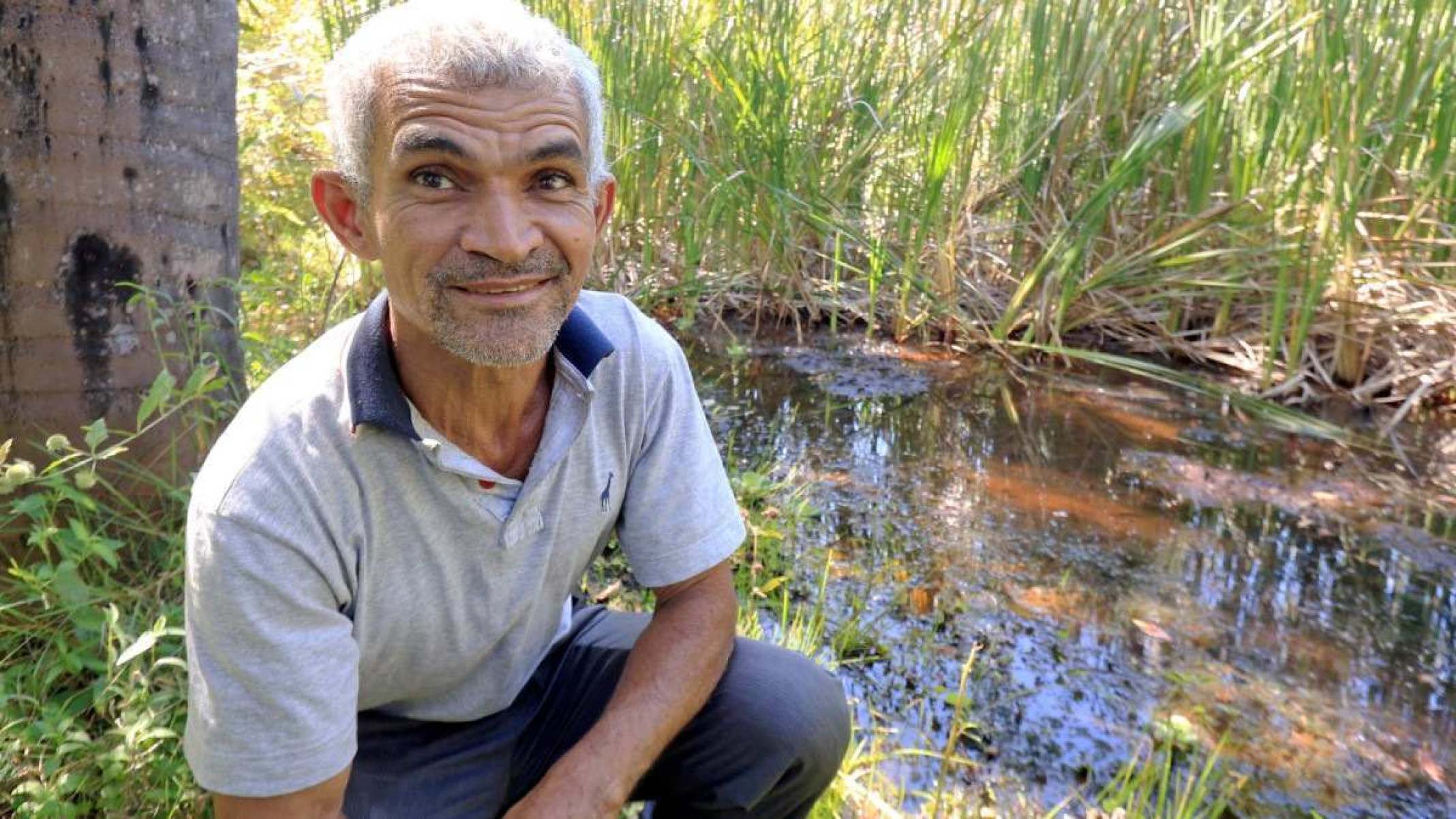 O pequeno produtor e veredeiro Santino Lopes, de Bonito de Minas, acompanhou o processo de desmatamento pelas reflorestadoras na região