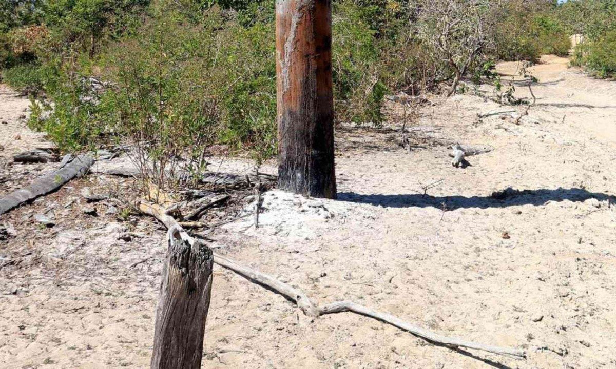 Em Bonito de Minas, área que já foi alagada na região do Rio Pandeiros hoje exibe solo arenoso e ressecado -  (crédito: Solon Queiroz/Esp EM)