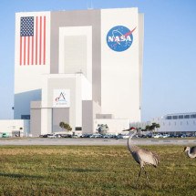 Streaming NASA+ traz a aventura espacial para dentro de casa - - Divulgação NASA