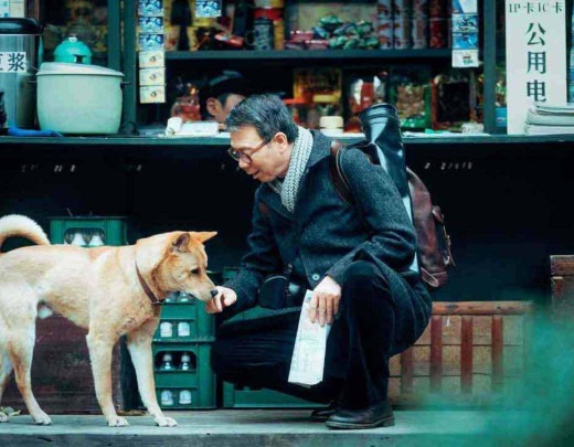 Estreia o terceiro filme de Hachiko, o akita mais fofo do cinema