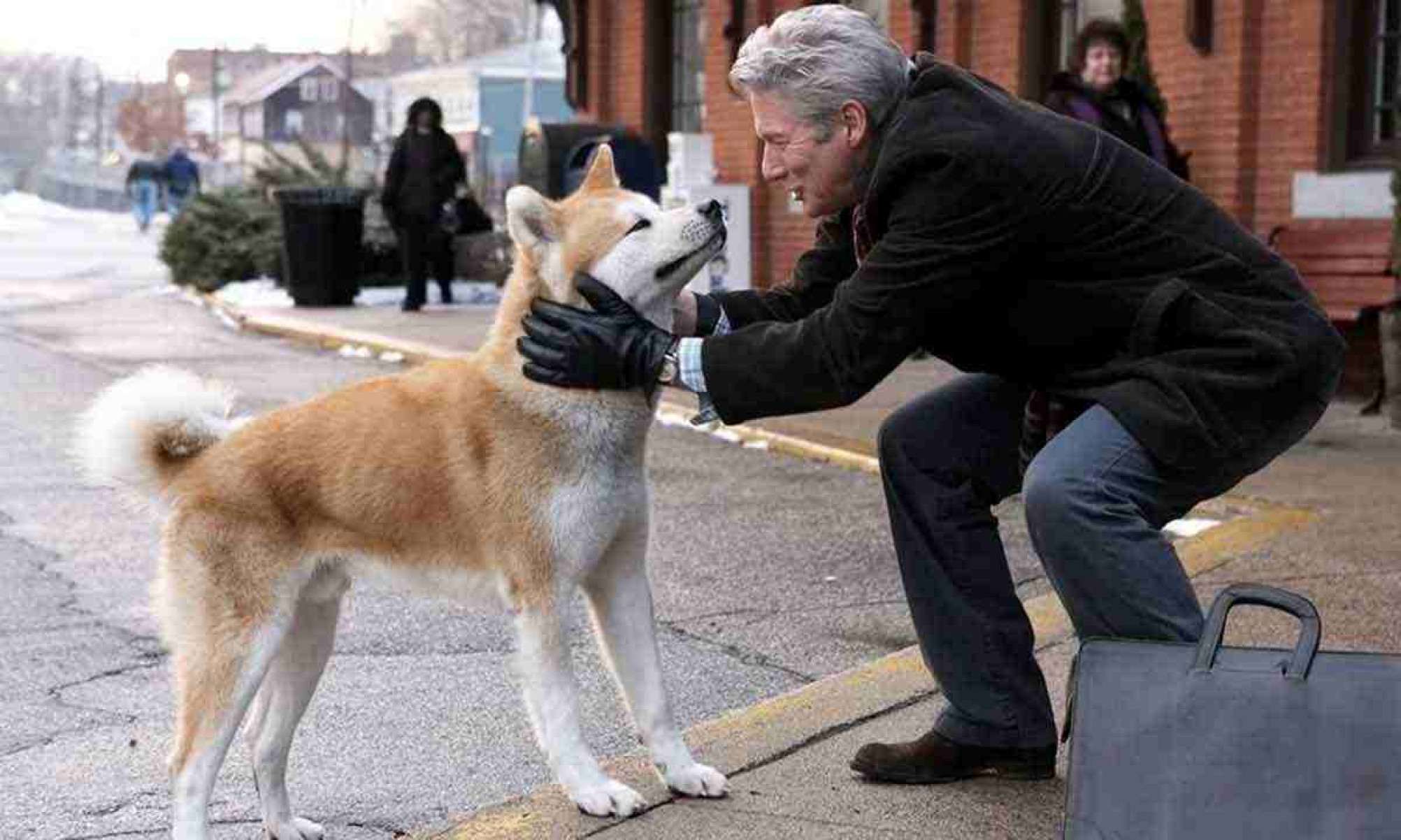 Richard Gere contracena com cachorro no filme Sempre ao seu lado  