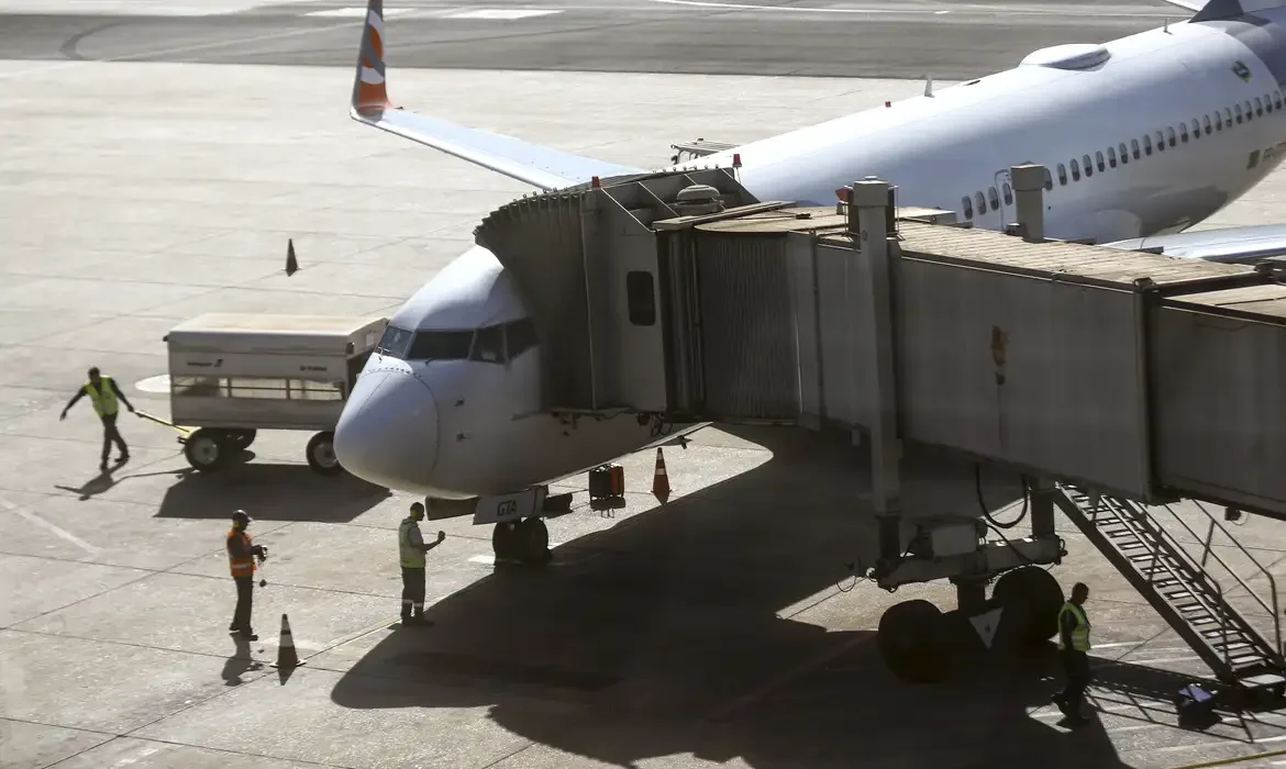 Comissão do governo vai definir regras para transporte aéreo de pets -  (crédito: EBC - Geral)