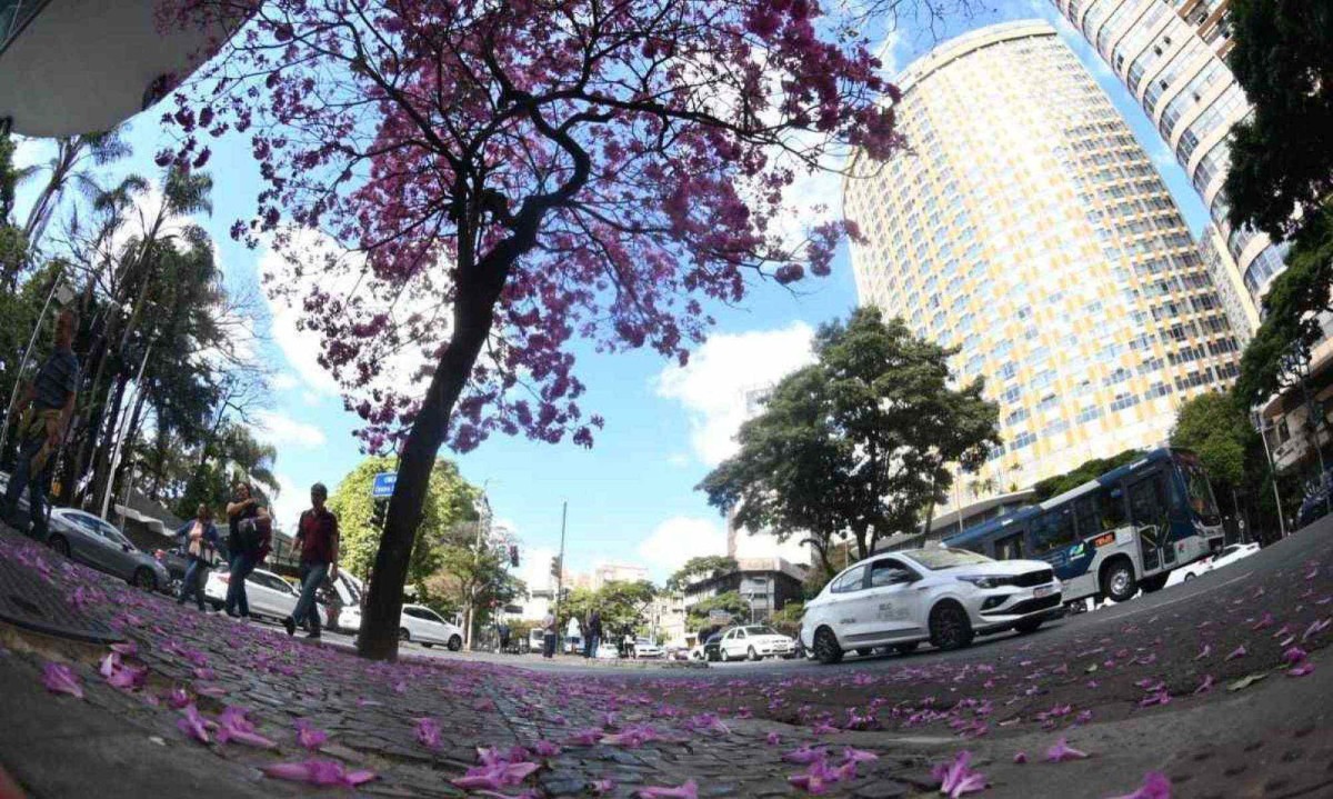 BH enfrenta clima seco durante inverno; há mais de 90 dias não chove na capital -  (crédito: Leandro Couri/EM/DA Press)