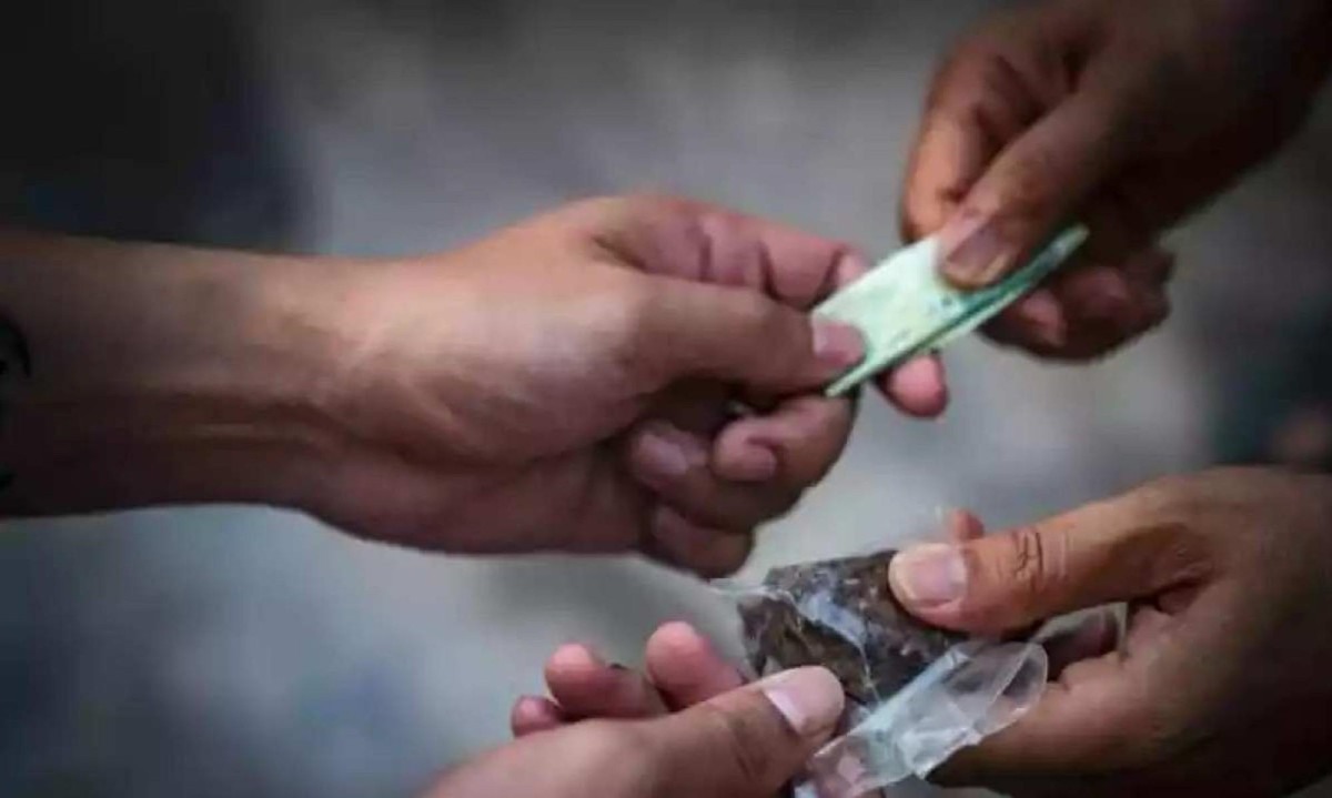 Ocorrências por posse e uso de drogas em Minas passaram de 34.976 em 2022 para 45.413 em 2023, um salto de 29,8% -  (crédito: MJSP/Reprodução)