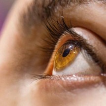 Cegueira: cientistas descobrem terapia para reverter degeneração macular - Aliza Delgun/Divulgação