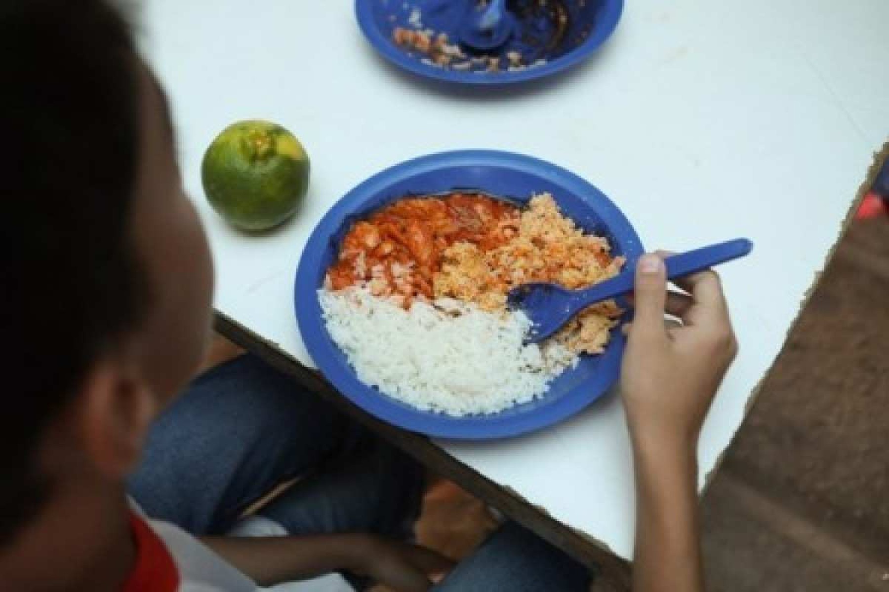 Análise realizada em farinha e arroz aponta altas taxas de toxinas fúngicas