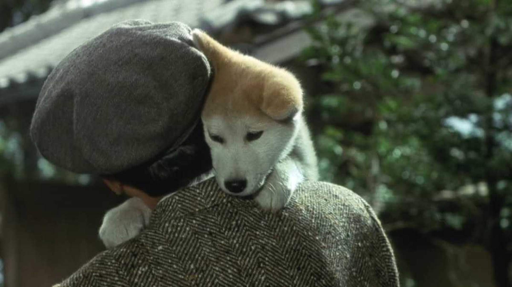 Cachorro nas costas de um homem no cartaz do filme Hachiko Monogatari