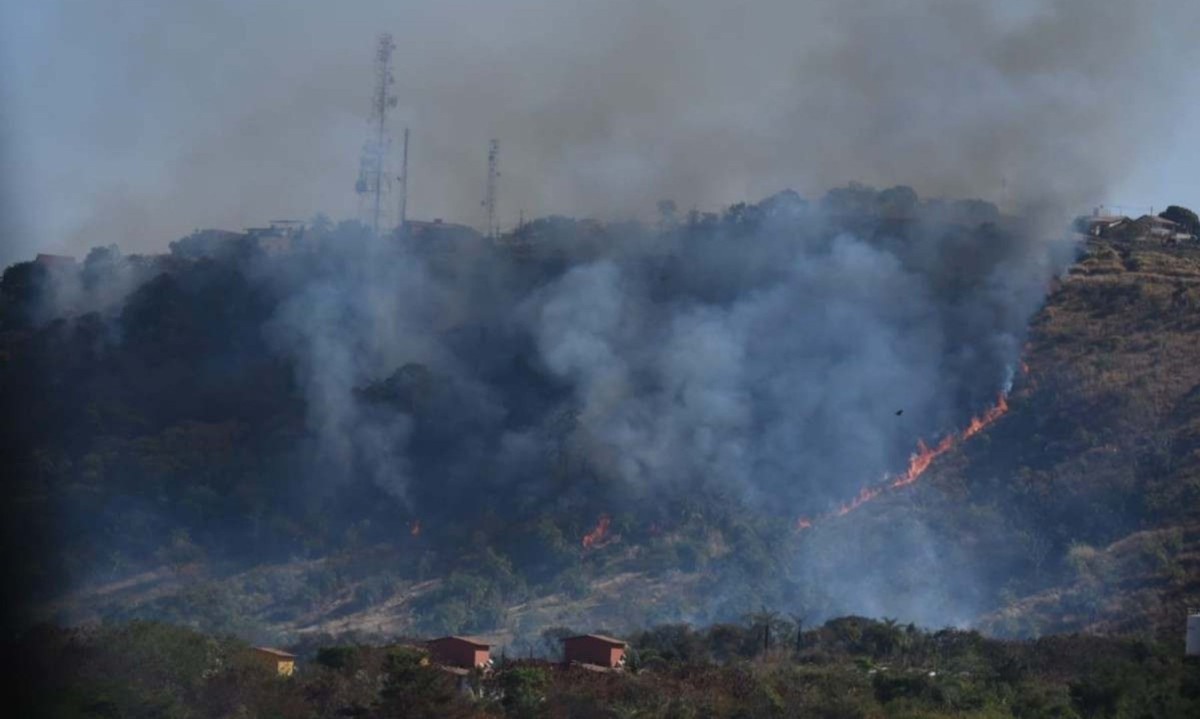 Incêndio atinge mata do Parque Estadual Serra Verde, em Belo Horizonte -  (crédito: Gladyston Rodrigues/EM/D.A Press)