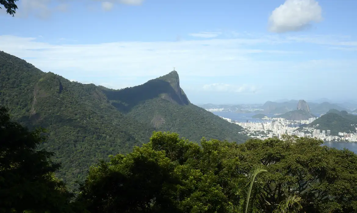 Só 6,9% das áreas urbanas do país são cobertas por vegetação -  (crédito: EBC)