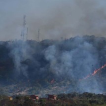 Incêndio atinge mata em parque de BH - Gladyston Rodrigues/EM/D.A Press