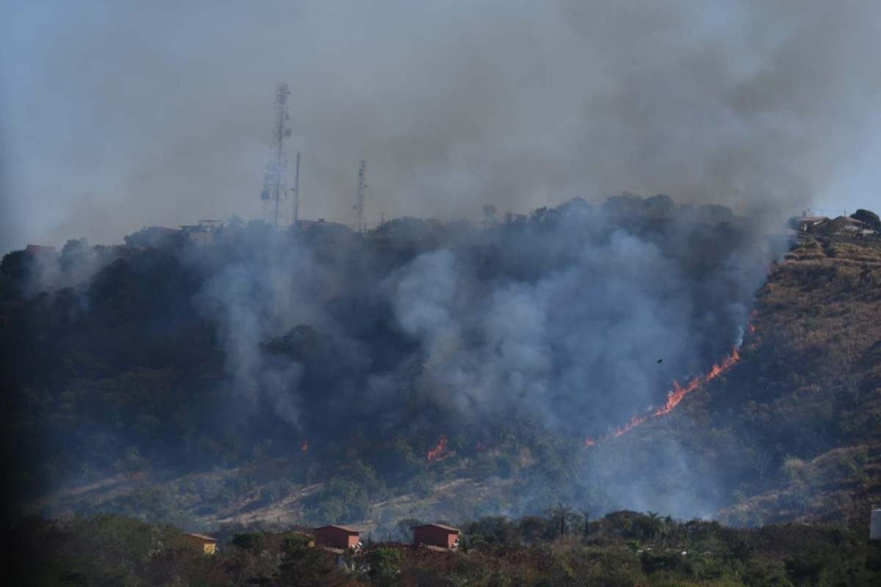 Incêndio atinge mata em parque de BH