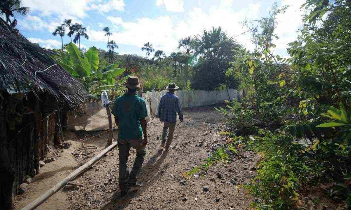 João e salvador no caminho de casa, no entorno de vereda e em harmonia com o ecossistema -  (crédito:  Alexandre Guzanshe/EM/D.A Press)