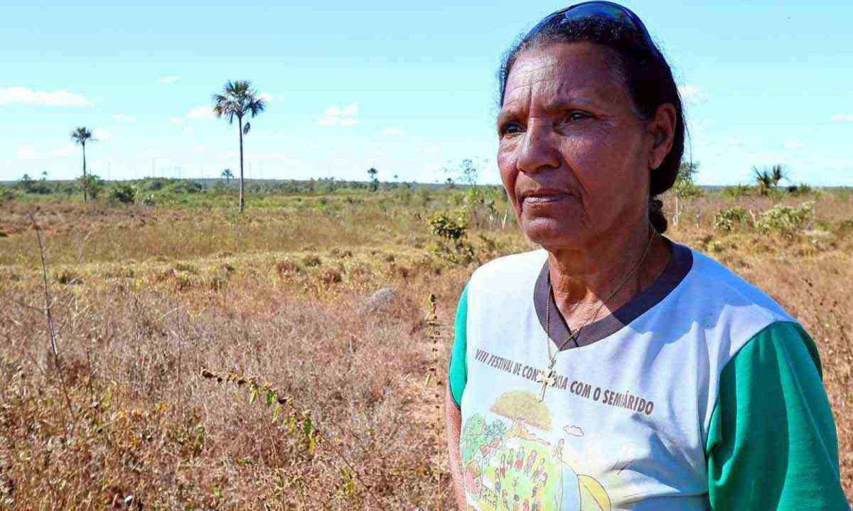 Dona Delícia sofre efeitos da devastação: 