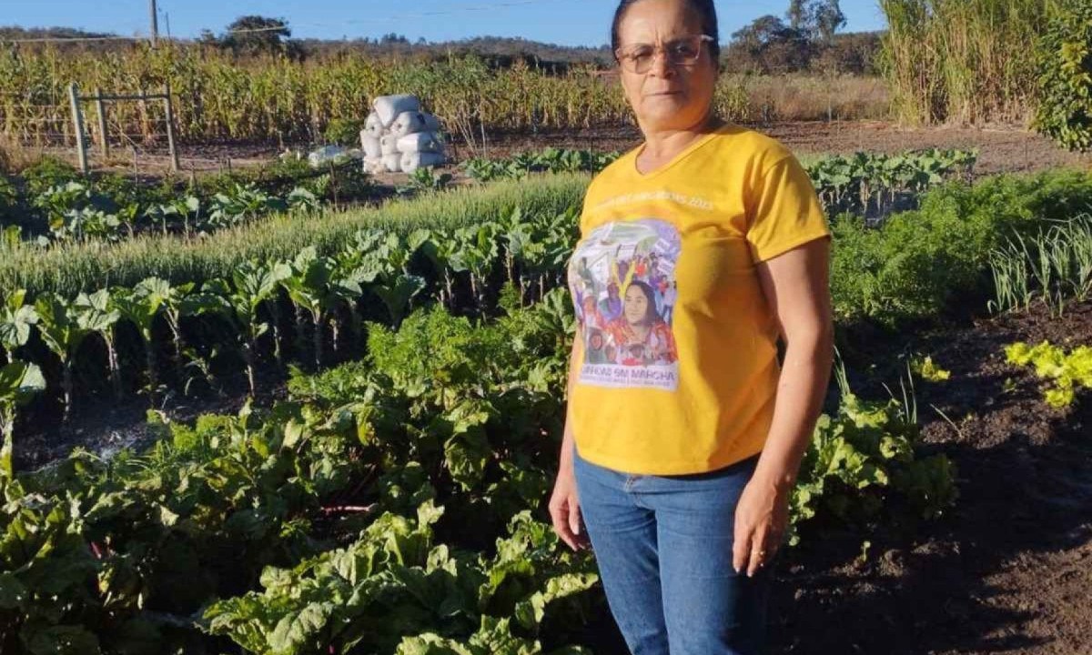 Maria Assis, agricultora e sindicalista em Rio Pardo de Minas: "O saber é tudo na vida de uma mulher. Se a mulher tem conhecim/ento, ela é capaz de chegar no além" -  (crédito: Arquivo pessoal)