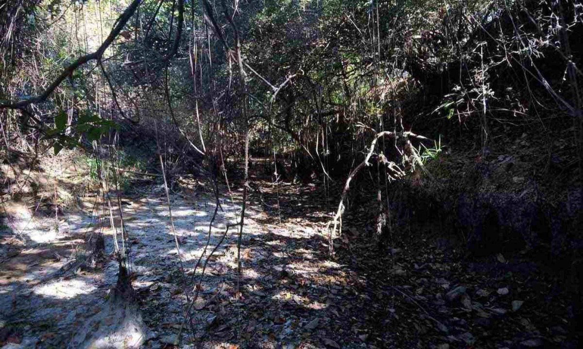 LEITO SECO DO CÓRREGO DO BATISTÉRIO EXPÕE CENÁRIO DE DEGRADAÇÃO QUE AVANÇA NA PAISAGEM DOS SERTÕES DE mINAS, PALCO DA OBRA DE GUIMARÃES ROSA -  (crédito: Alexandre Guzanshe/EM/D.A. Press)