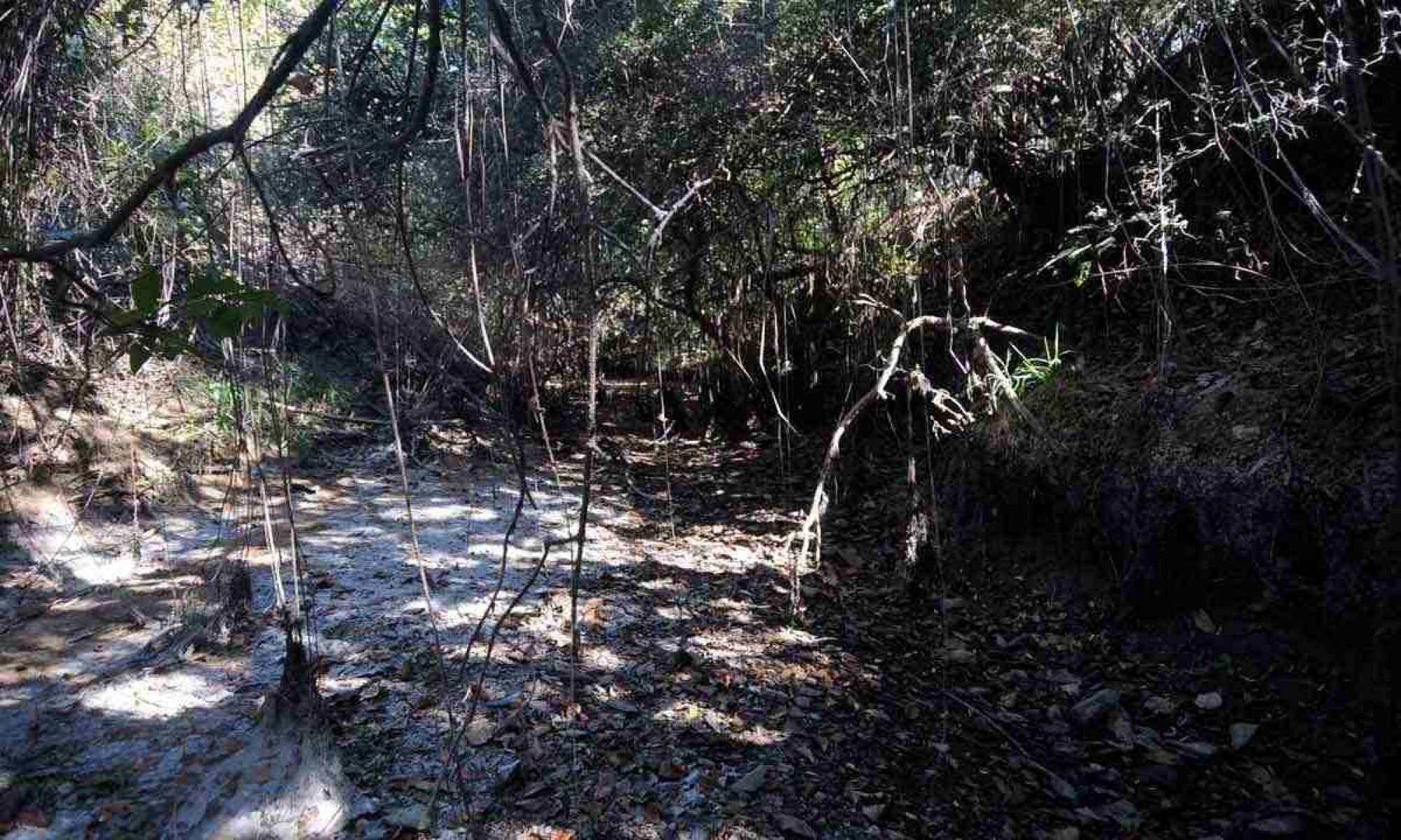 Leitos secos ou envenenados: a agonia dos rios no sertão de Guimarães Rosa